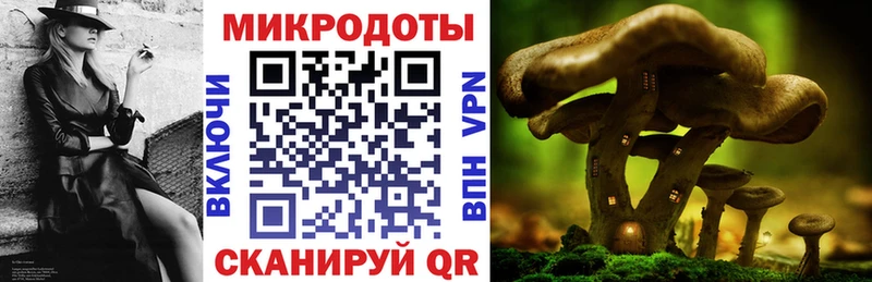 Псилоцибиновые грибы Psilocybine cubensis Анжеро-Судженск